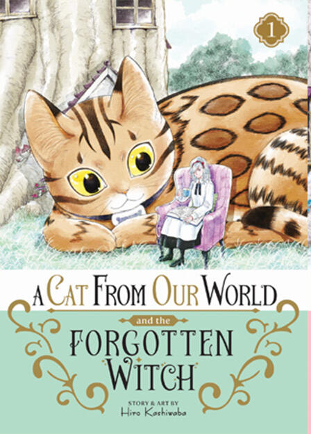 A Cat From Our World and the Forgotten Witch